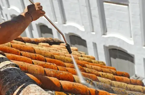 Nettoyage de toitures - Ledringhem